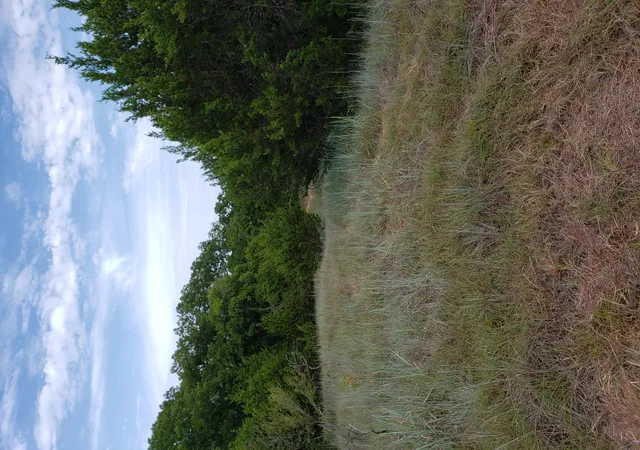 Homes for sale in Lampasas, TX | Lot 44 County Road 3640, Lampasas, TX 76522 | MLS# 6601661