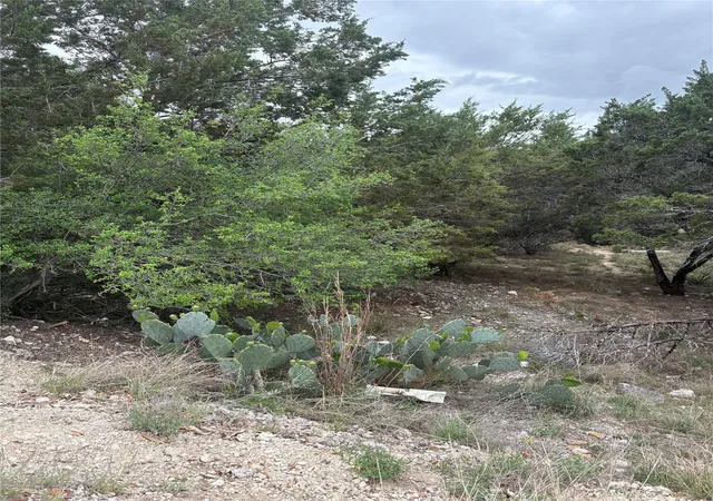 6th image of 20907 Magellan Cv, Lago Vista, TX 78645 | MLS# 6690420