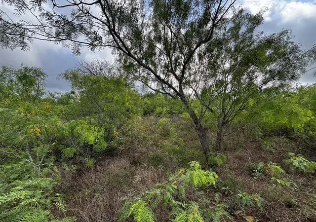 Homes for sale in Thrall, TX | 805 County Road 467, Thrall, TX 76578 | MLS# 1674790