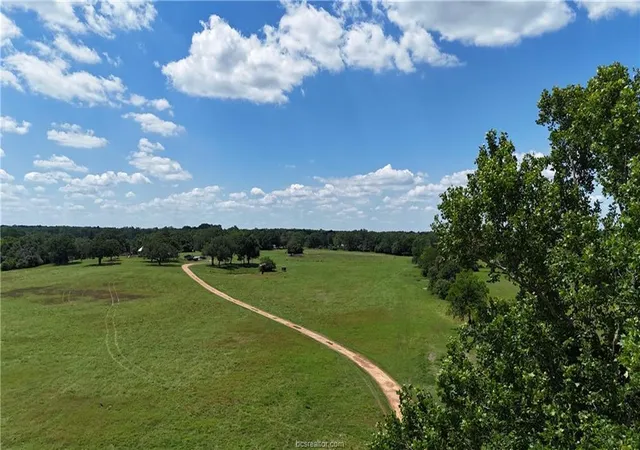 Photo 3 of Sale Pending at 13541 E US Hwy 79 (+/ 187 Acres), Gause, TX 77857 | MLS# 6757517 | Listing updated on 2026-07-14