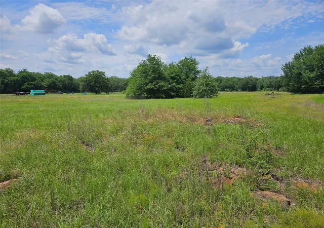 3rd image of 000 Tbd Cr 346 Rd, Milano, TX 76556 | MLS# 5825131