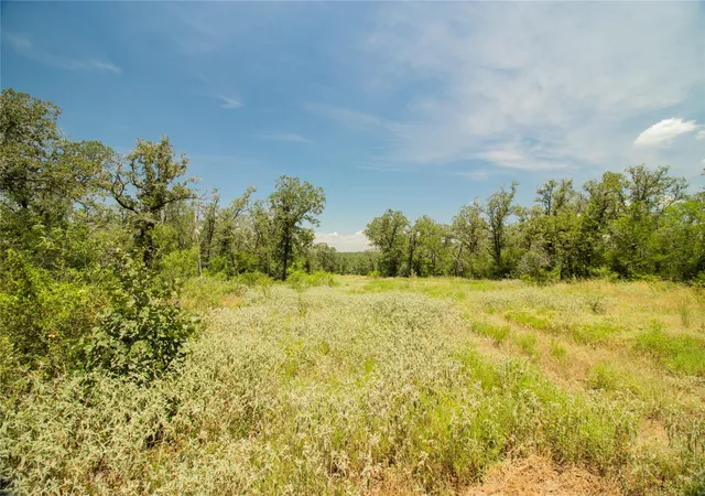Land for sale at 2564 Bluestem Crst Ln, Seguin, TX 78155 | MLS# 5147406
