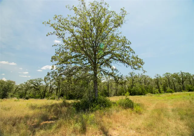 Photo 3 of House for sale at 2564 Bluestem Crst Ln, Seguin, TX 78155 | MLS# 5147406 | Listing updated on 2026-09-28