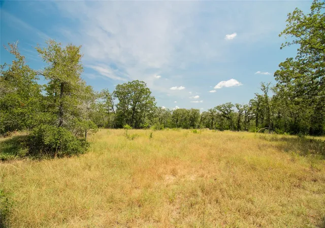 Photo 4 of House for sale at 2564 Bluestem Crst Ln, Seguin, TX 78155 | MLS# 5147406 | Listing updated on 2026-09-28