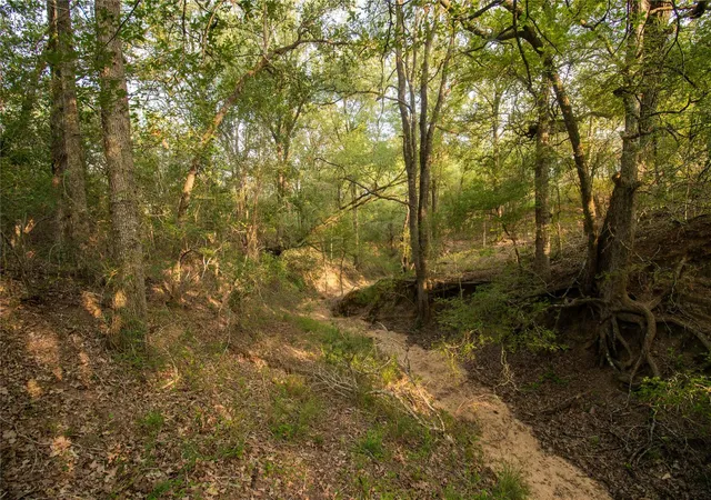 1st image of 438 Firefly Field Ln, Seguin, TX 78155 | MLS# 1255789