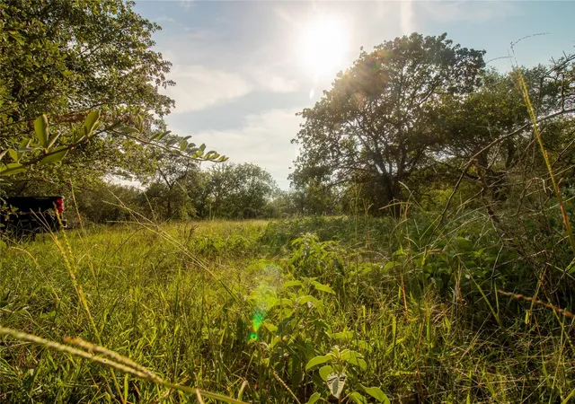 2nd image of 438 Firefly Field Ln, Seguin, TX 78155 | MLS# 1255789