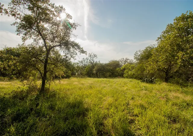 5th image of 438 Firefly Field Ln, Seguin, TX 78155 | MLS# 1255789