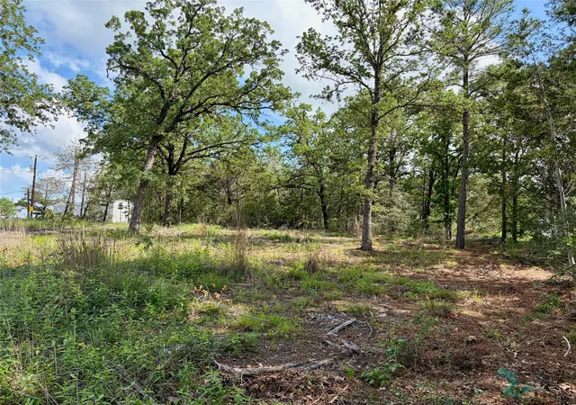 Photo 3 of Land for sale at Lots 97/98 Shawnee Dr, Smithville, TX 78957 | MLS# 9834296 | Listing updated on 2026-06-17