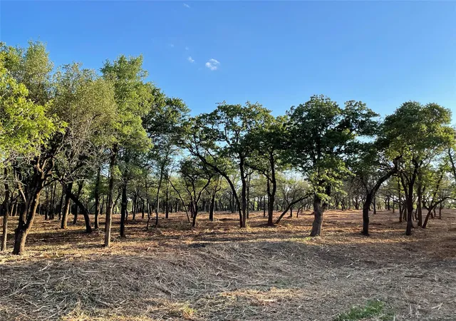 Photo 3 of Land for sale at 10960 Fm 1602 Hwy, Jonesboro, TX 76538 | MLS# 1101188 | Listing updated on 2026-09-27