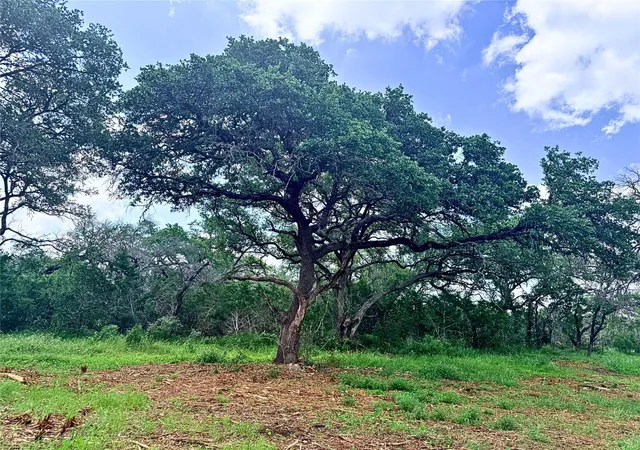 3rd image of 2013 Hilliard Rd, San Marcos, TX 78666 | MLS# 8649564