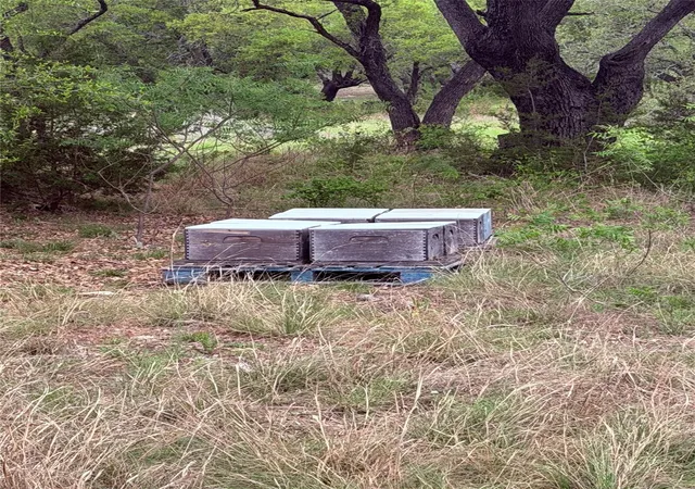 4th image of Tbd S Fm 1174, Bertram, TX 78605 | MLS# 2351148