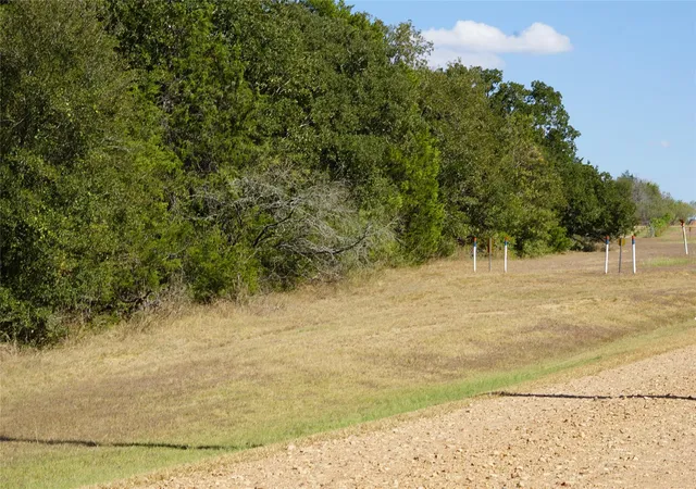 Homes for sale in Lexington, TX | 1135 Private Road 7039, Lexington, TX 78947 | MLS# 1270450