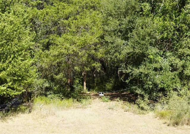 Homes for sale in Lexington, TX | 1135 Private Road 7039, Lexington, TX 78947 | MLS# 1270450