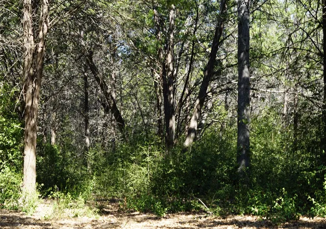 Homes for sale in Lexington, TX | 1135 Private Road 7039, Lexington, TX 78947 | MLS# 1270450