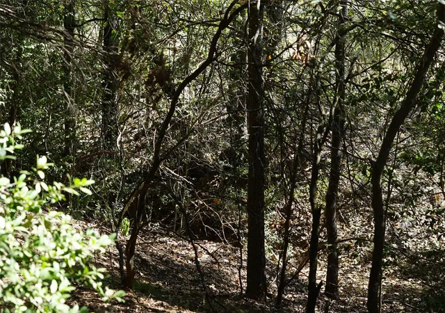 5th image of 1135 Private Road 7039, Lexington, TX 78947 | MLS# 1270450