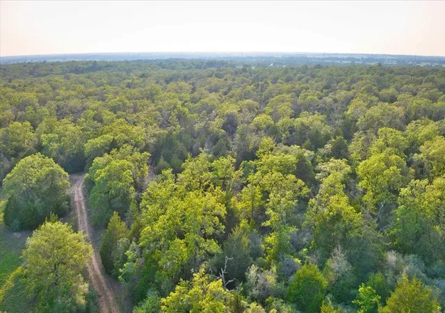 Homes for sale in Thrall, TX | 2095 County Road 442, Thrall, TX 76578 | MLS# 4319854