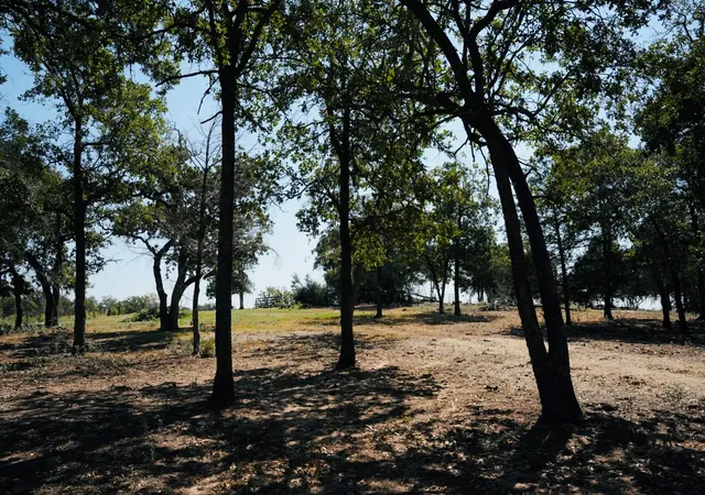 3rd image of 640 County Road 475 Rd, Luling, TX 78648 | MLS# 1092344