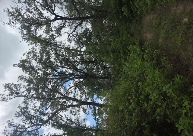 3rd image of 5345 Hwy 36, Milano, TX 76556 | MLS# 7678427