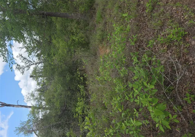 4th image of 5345 Hwy 36, Milano, TX 76556 | MLS# 7678427