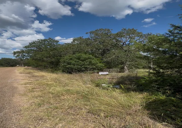 Homes for sale in Bastrop, TX | 314 Green Oaks Dr #Lot 14-A, Bastrop, TX 78602 | MLS# 2957378