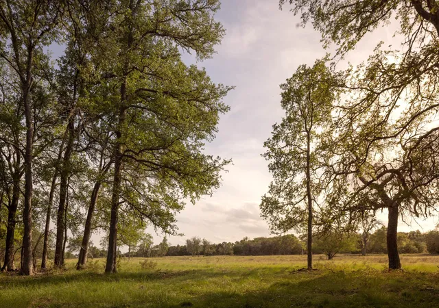 14th image of 2609 Prochnow Rd, Dripping Springs, TX 78620 | MLS# 4311234