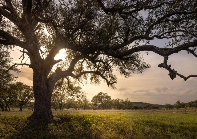 3rd image of 2609 Prochnow Rd, Dripping Springs, TX 78620 | MLS# 4311234