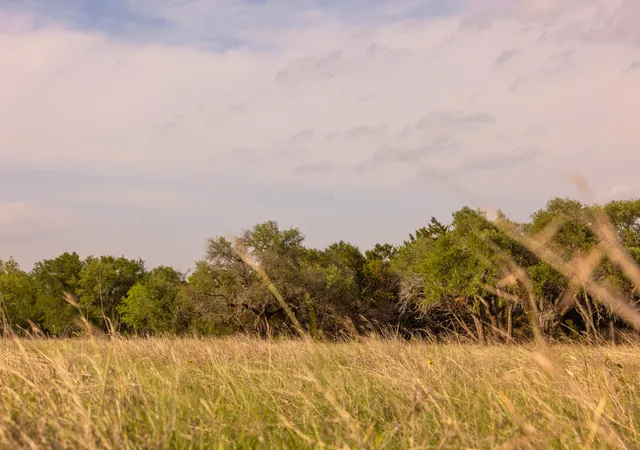 5th image of 2609 Prochnow Rd, Dripping Springs, TX 78620 | MLS# 4311234
