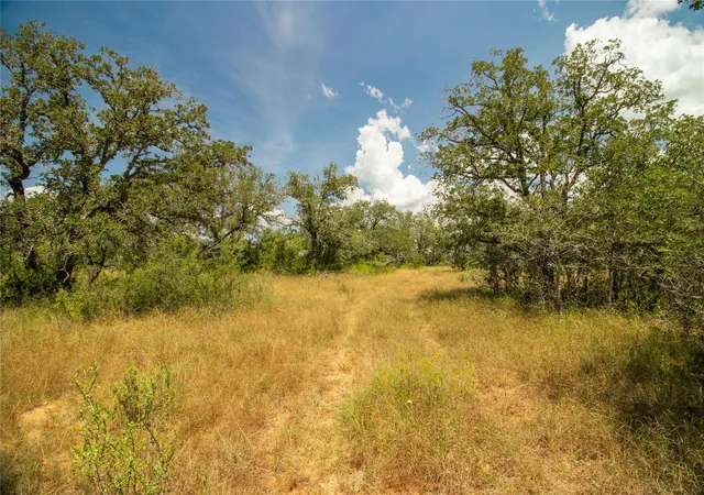28th image of 9057 Sycamore Shade Ln, Kingsbury, TX 78155 | MLS# 9517463