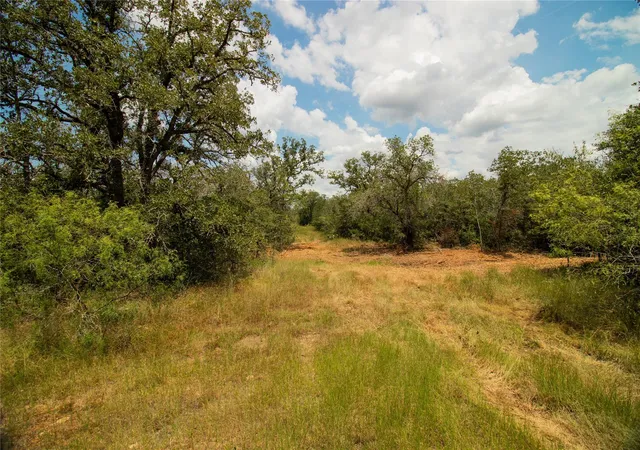 3rd image of 9057 Sycamore Shade Ln, Kingsbury, TX 78155 | MLS# 9517463