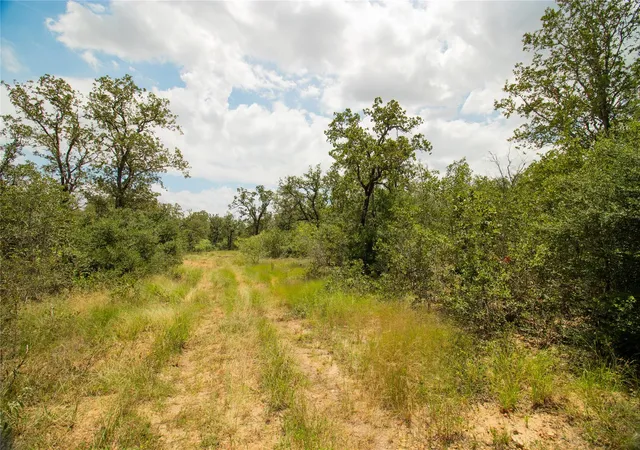 4th image of 9057 Sycamore Shade Ln, Kingsbury, TX 78155 | MLS# 9517463