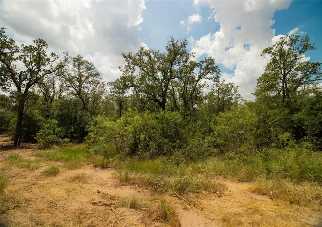5th image of 9057 Sycamore Shade Ln, Kingsbury, TX 78155 | MLS# 9517463