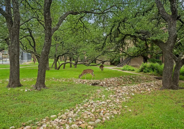 3rd image of 4159 Steck Ave #267, Austin, TX 78759 | MLS# 5826517
