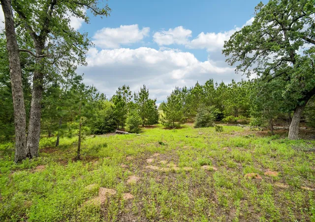 Photo 2 of Land for sale at 1213 Park Rd 1c, Smithville, TX 78957 | MLS# 7502663 | Listing updated on 2026-05-05