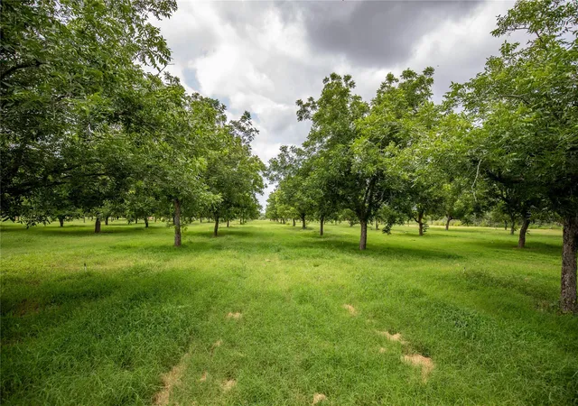 Land for sale at 2432 County Rd 402 B, Falfurrias, TX 78355 | MLS# 4572691