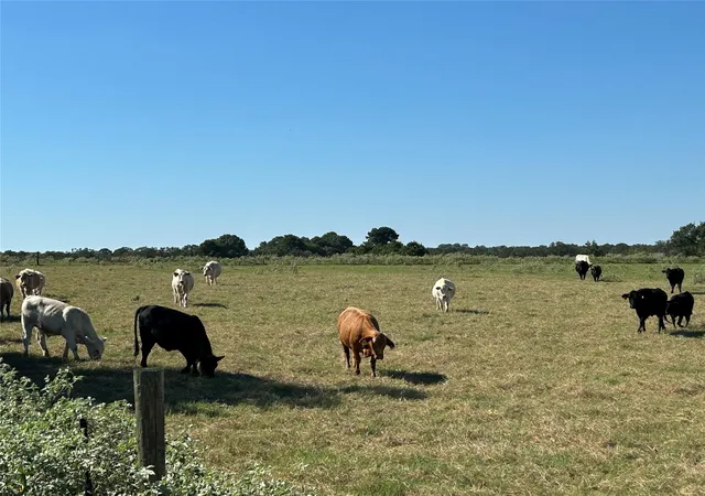 Photo 2 of Land for sale at 5556 Acres Farris Ln, Smithville, TX 78957 | MLS# 8665005 | Listing updated on 2026-10-08