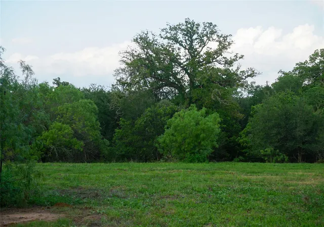 Photo 3 of Land for sale at 00 Mcdonald Ln, Cedar Creek, TX 78612 | MLS# 7735913 | Listing updated on 2026-07-15