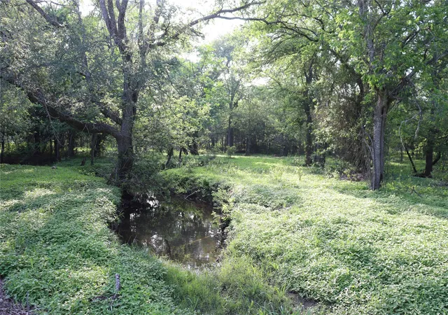 4th image of 320 Hillcrest Ln, Dale, TX 78616 | MLS# 9212614