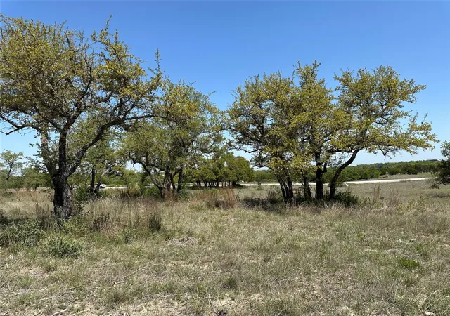 Homes for sale in Johnson City, TX | Lot 106 E Flying Owl Dr, Johnson City, TX 78636 | MLS# 1730471