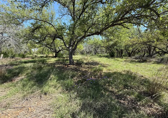Homes for sale in Johnson City, TX | Lot 106 E Flying Owl Dr, Johnson City, TX 78636 | MLS# 1730471