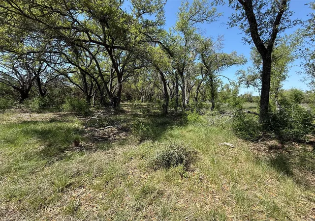 Homes for sale in Johnson City, TX | Lot 106 E Flying Owl Dr, Johnson City, TX 78636 | MLS# 1730471