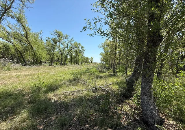 Homes for sale in Johnson City, TX | Lot 106 E Flying Owl Dr, Johnson City, TX 78636 | MLS# 1730471