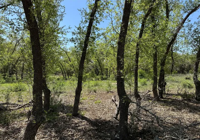 Homes for sale in Johnson City, TX | Lot 106 E Flying Owl Dr, Johnson City, TX 78636 | MLS# 1730471