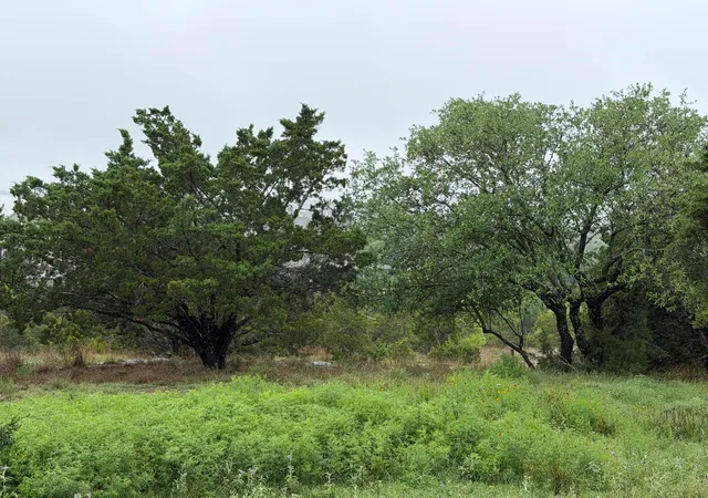 4th image of 17408 Lake Wood Cir, Dripping Springs, TX 78620 | MLS# 4125990
