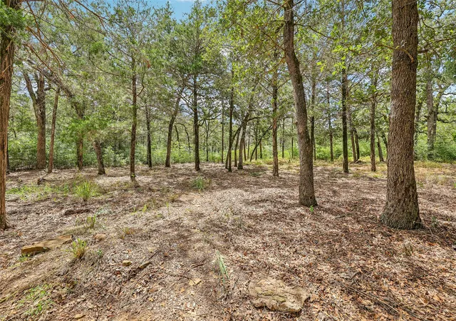 Photo 3 of Single family home for sale at 267 Corral Rd, Smithville, TX 78957 | MLS# 6254226 | Listing updated on 2026-09-21