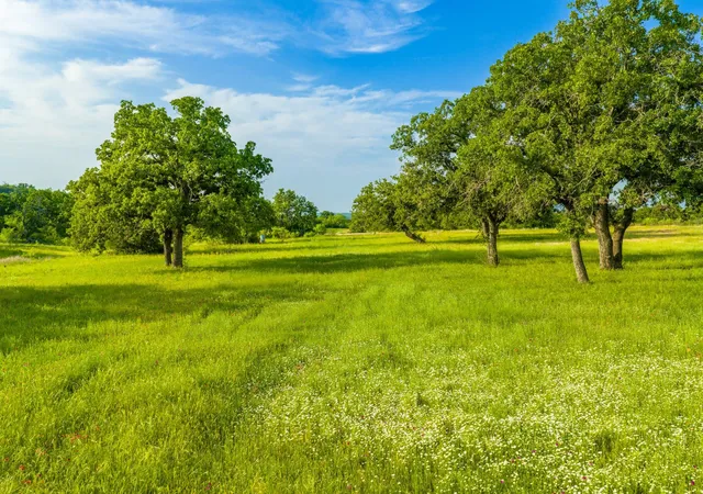 Homes for sale in Rochelle, TX | 11079 Cr 266, Rochelle, TX 76872 | MLS# 9851452