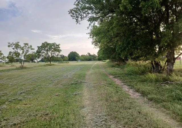 Homes for sale in Thrall, TX | 2985 County Road 426, Thrall, TX 76578 | MLS# 6828747