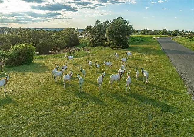 Photo 3 of Land for sale at Lot 129 & 130 Lynx Cvs Rd, Blanco, TX 78606 | MLS# 8735081 | Listing updated on 2026-08-10