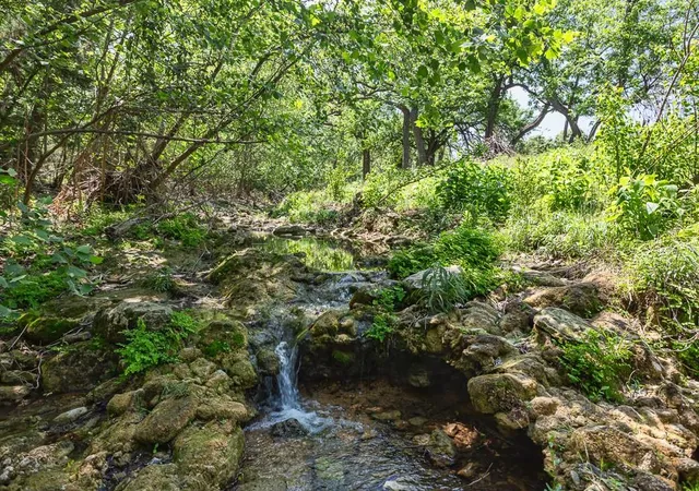 2nd image of 127 El Nopal Dr, Blanco, TX 78606 | MLS# 1465394