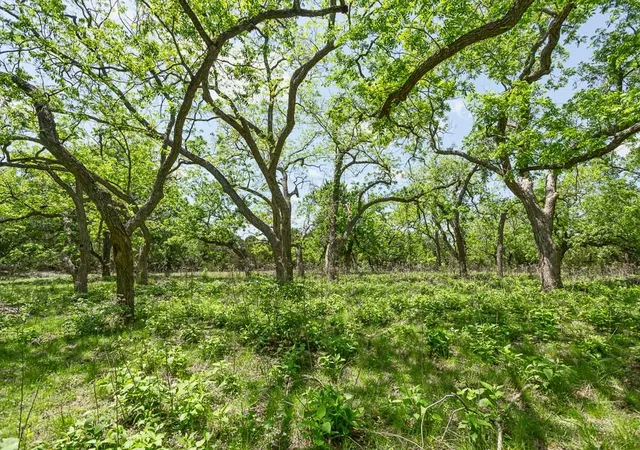 5th image of 127 El Nopal Dr, Blanco, TX 78606 | MLS# 1465394