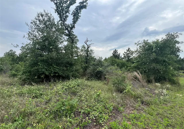 Photo 3 of Land for sale at Tbd Blue Jay Rd, Bastrop, TX 78602 | MLS# 4092819 | Listing updated on 2026-08-20